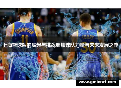 上海篮球队的崛起与挑战聚焦球队力量与未来发展之路