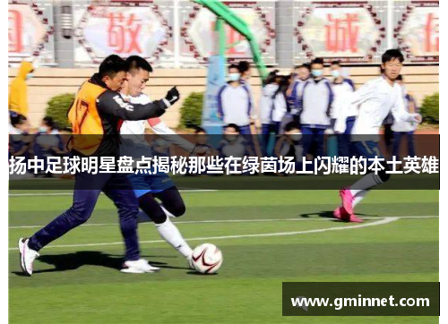 扬中足球明星盘点揭秘那些在绿茵场上闪耀的本土英雄