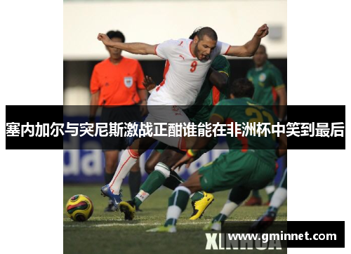 塞内加尔与突尼斯激战正酣谁能在非洲杯中笑到最后