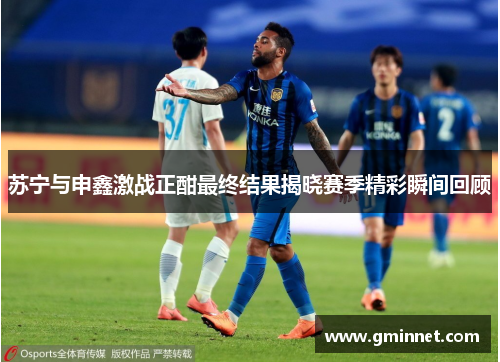 苏宁与申鑫激战正酣最终结果揭晓赛季精彩瞬间回顾
