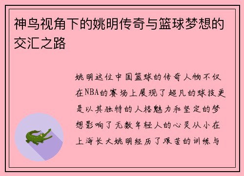 神鸟视角下的姚明传奇与篮球梦想的交汇之路